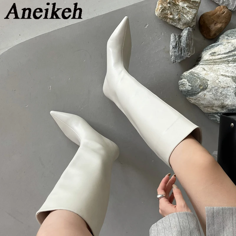 Women'S Fashion Knee High Boots - Aneikeh 2027 Bottes longues au genou